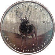 50 Cents - Elizabeth II Peary Caribou, Canada, 2019 reverse image