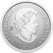 50 Cents In the name of Elizabeth II; Holiday Sledding obverse image