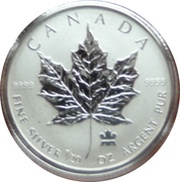 1 Dollar - Elizabeth II SML fractionnal set; 1⁄20 oz, Canada, 2004 reverse image