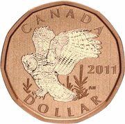 1 Dollar - Elizabeth II Great Grey Owl; specimen set, Canada, 2011 reverse image