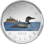 1 Dollar - Elizabeth II The loon, Canada, 2016 reverse image