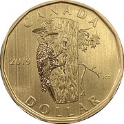 1 Dollar - Elizabeth II Pileated Woodpecker, Canada, 2019 reverse image