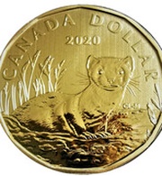 1 Dollar - Elizabeth II Black-Footed Ferret, Canada, 2020 reverse image