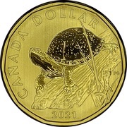1 Dollar - Elizabeth II Blanding's Turtle, Canada, 2021 reverse image