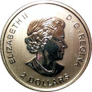 2 Dollars - Elizabeth II Calgary Stampede; ½ oz. Silver Bullion Coinage obverse image