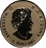 2 Dollars - Elizabeth II SML fractionnal set; 1⁄10 oz obverse image