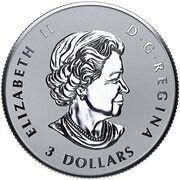 3 Dollars - Elizabeth II Maple Leaf Tribute; 1/4oz obverse image
