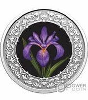 3 Dollars - Elizabeth II Québec; Blue Flag Iris, Canada, 2020 reverse image