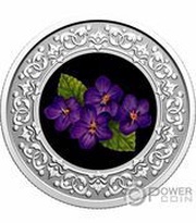 3 Dollars - Elizabeth II New-Brunswick; Purple Violet, Canada, 2020 reverse image