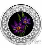 3 Dollars - Elizabeth II Manitoba; Prairie Crocus, Canada, 2020 reverse image