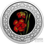 3 Dollars - Elizabeth II Newfoundland and Labrador; Pitcher Plant, Canada, 2020-2021 reverse image