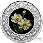 3 Dollars - Elizabeth II NorthWest Territories; Mountain Avens, Canada, 2021 reverse image