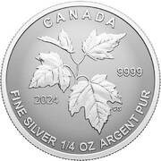 3 Dollars In the name of Elizabeth II; Canada's Autumn Beauty, Canada, 2024 reverse image