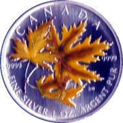 5 Dollars - Elizabeth II 1 oz. Silver Maple, Canada, 2006 reverse image