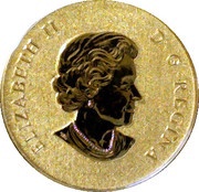 5 Dollars - Elizabeth II 1⁄10 oz. Maple Leaf Forever obverse image