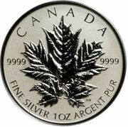 5 Dollars - Elizabeth II Fractional Silver Maple Leaf, Canada, 2013 reverse image
