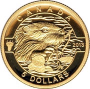 5 Dollars - Elizabeth II Beaver, Canada, 2013 reverse image