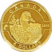 5 Dollars - Elizabeth II Canada Goose, Canada, 2014 reverse image