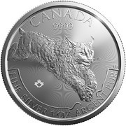 5 Dollars - Elizabeth II 1 oz. Silver Bullion Coinage; Lynx, Canada, 2017 reverse image