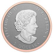 5 Dollars In the name of Elizabeth II; SML fractionnal set; 1 oz obverse image