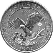8 Dollars - Elizabeth II Bald eagle with nest; 1 1⁄4 oz silver bullion coinage, Canada, 2018 reverse image