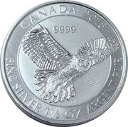 8 Dollars - Elizabeth II Snowy Owl, Canada, 2018 reverse image