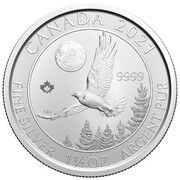 8 Dollars - Elizabeth II Goshawk, 1½ oz silver, Canada, 2020 reverse image
