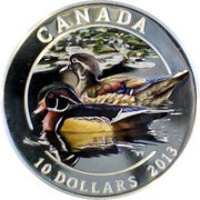 10 Dollars - Elizabeth II Wood Duck, Canada, 2013 reverse image