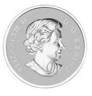 10 Dollars - Elizabeth II ½ oz. Canadian Maple Leaves 2013 obverse image