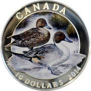 10 Dollars - Elizabeth II Pintail Duck, Canada, 2014 reverse image