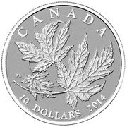 10 Dollars - Elizabeth II ½ oz. Canadian Maple Leaves 2014, Canada, 2014 reverse image