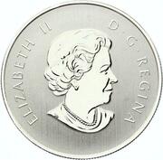 10 Dollars - Elizabeth II Year of the Sheep obverse image