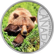 10 Dollars - Elizabeth II Grizzly Bear, Canada, 2017 reverse image