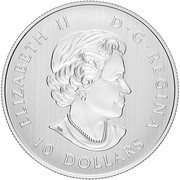 10 Dollars - Elizabeth II ½ oz. Canadian Maple Leaves 2017 obverse image