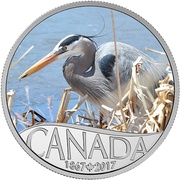 10 Dollars - Elizabeth II Great Blue Heron, Canada, 2017 reverse image