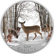 10 Dollars - Elizabeth II Spring Sightings; Deer, Canada, 2017 reverse image