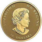 10 Dollars - Elizabeth II Wild Horse; Bullion obverse image