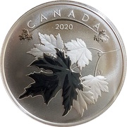 10 Dollars - Elizabeth II Maple Leaves, Canada, 2020 reverse image