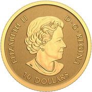 10 Dollars - Elizabeth II Moose obverse image
