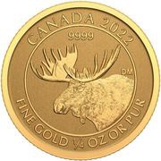 10 Dollars - Elizabeth II Moose, Canada, 2022 reverse image