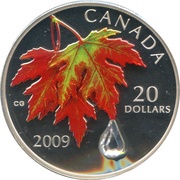 20 Dollars - Elizabeth II Fall Colors, Canada, 2009 reverse image