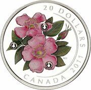 20 Dollars - Elizabeth II Wild Rose, Canada, 2011 reverse image