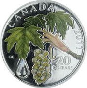 20 Dollars - Elizabeth II Crystal Raindrop, Canada, 2011 reverse image
