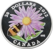 20 Dollars - Elizabeth II Aster and Bumble Bee, Canada, 2012 reverse image