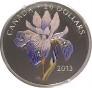 20 Dollars - Elizabeth II Blue Flag Iris, Canada, 2013 reverse image