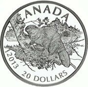 20 Dollars - Elizabeth II The Beaver, Canada, 2013 reverse image