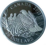 20 Dollars - Elizabeth II Mother Protecting her Eaglets, Canada, 2013 reverse image