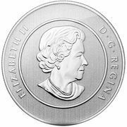 20 Dollars - Elizabeth II Canada Goose obverse image