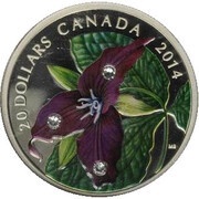 20 Dollars - Elizabeth II Red Trillium, Canada, 2014 reverse image