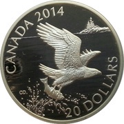 20 Dollars - Elizabeth II Bald Eagle With Fish, Canada, 2014 reverse image